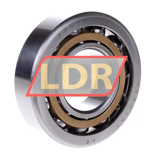 SKF 7309BM
