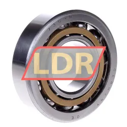 SKF 7309BM