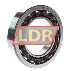 SKF 7217