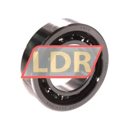 SKF 7005CEGA/P4A