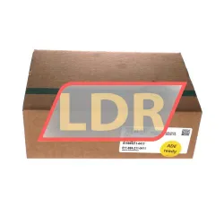 INA KWVE25-B-ESC-V1-G1 rulman resim 4