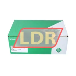 INA KWVE55-B-L-RROC-V1-G3 rulman resim 4
