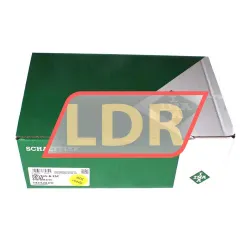 INA KWVE45-B-ESC-V0-G3 rulman resim 4