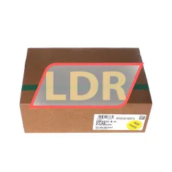 INA KWVE25-B-H-V1-G4 rulman resim 4