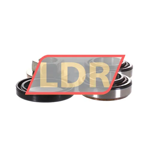 SKF VKBA3666