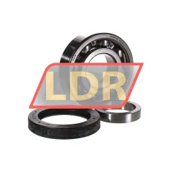 SKF VKBA617