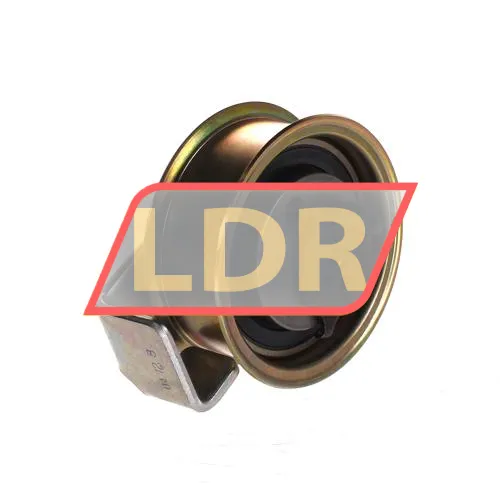 SKF VKM11018