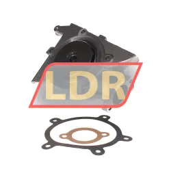 SKF VKPC82419