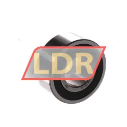 INA 3002-2RS-C3