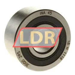 INA 3000-2RS