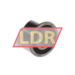 INA 3001-2RS-C3