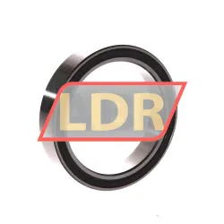 INA 3808-2RS rulman resim 2