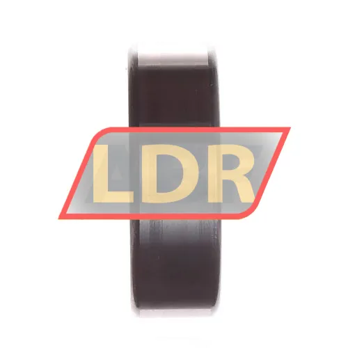 INA 3007-2RS ürün fotoğrafı 2