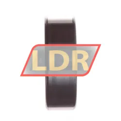 INA 3007-2RS rulman resim 2