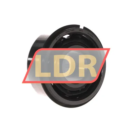 SKF 3306ANR