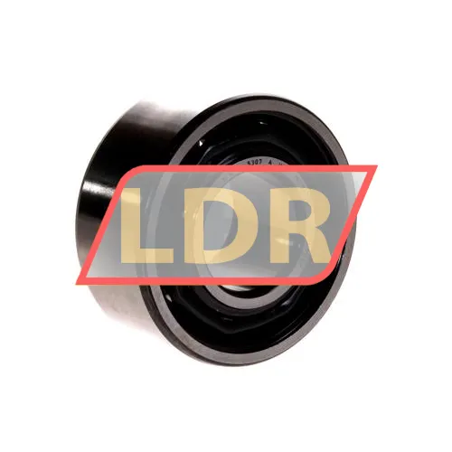 SKF 5307A