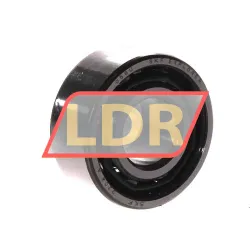 SKF 3204A