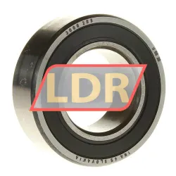 INA 3006-2RS