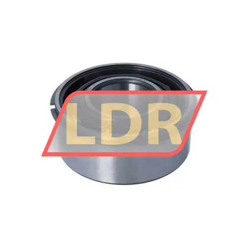 SKF 3313ANR