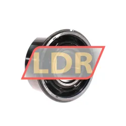 SKF 3310ANR/C3