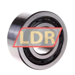 SKF 3309A/C3W64
