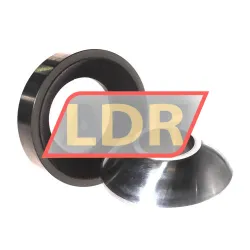 INA GE45-AW-A rulman resim 2