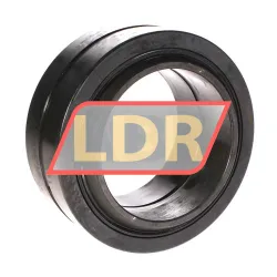 Elges GE100-DO-2TS rulman resim 3