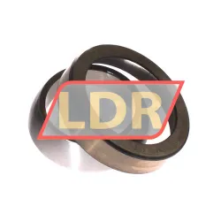 INA GE65-SW-A rulman resim 3