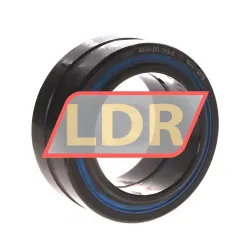 INA GE60-DO-2RS-E