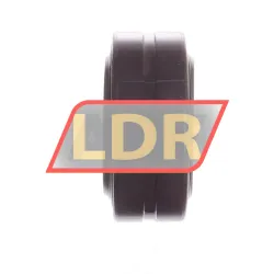 INA GE30-DO-2TS rulman resim 2