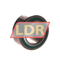 SKF GE25TXE-2LS