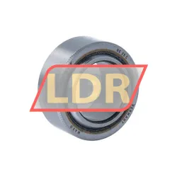 SKF GE25C