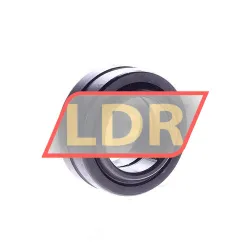 Elges GE25-DO rulman resim 2