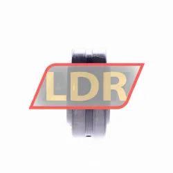 Elges GE25-DO rulman resim 3