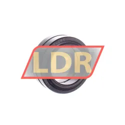 Elges GE50-DO-2RS