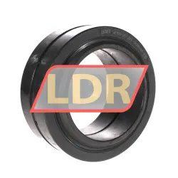 Elges GE100-DO-2RS