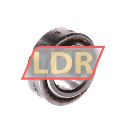 SKF GE10C