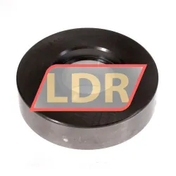 SKF GX50F rulman resim 2