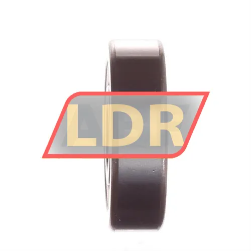 INA LR201-X-2RSR ürün fotoğrafı 2