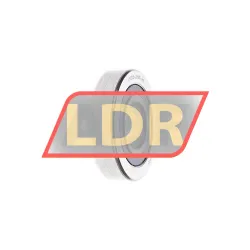 INA LR205-2RSR-RR