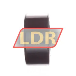 INA NUTR25-A rulman resim 2
