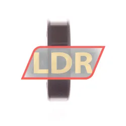 INA LR204-X-2RSR rulman resim 2
