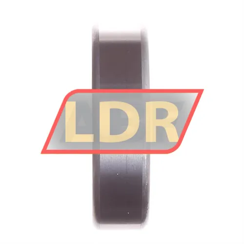 INA LR204-2RSR ürün fotoğrafı 2