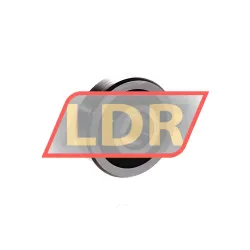 INA LR201-RRU rulman resim 2