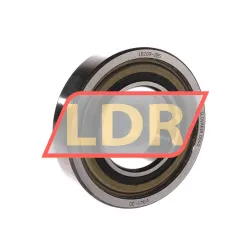INA LR209-2RS
