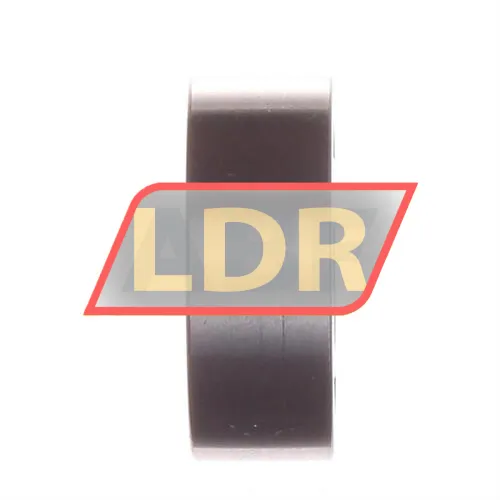 INA LR5002-NPPU-AH04 ürün fotoğrafı 2