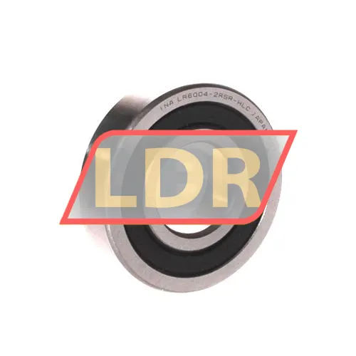 INA LR6004-2RSR-HLC