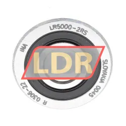 INA LR5000-2RS rulman resim 2