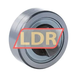 INA LR204-NPP-AH21 rulman resim 2