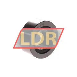 SKF RSTO17